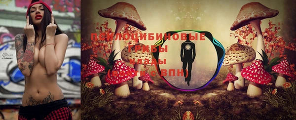 экстази Арсеньев