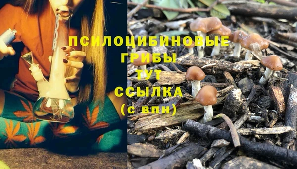 прущий лед Армянск