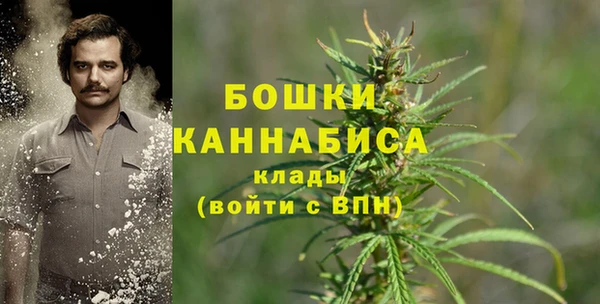 MESCALINE Аркадак