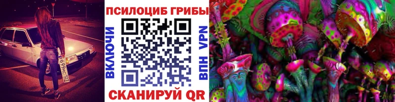 ссылка на мегу зеркало  Аркадак  shop клад  Псилоцибиновые грибы мухоморы 